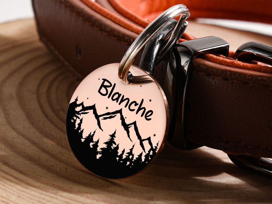 Personalized Dog and Cat Name Tag for Collars